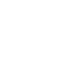 Website development